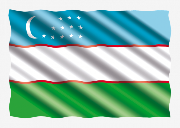 flag of uzbekistan